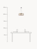 Colonno Pendant Light Recinto