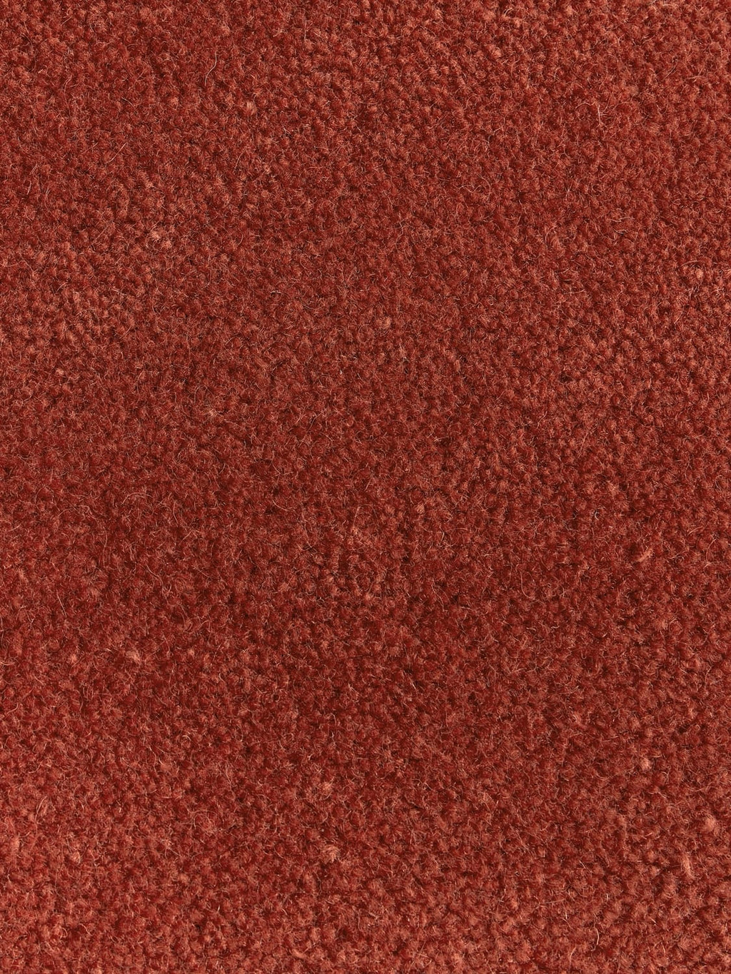 Pognana Organic-Shaped Hand-Tufted Wool Rug
