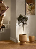 Schignano Planter, H 37 cm
