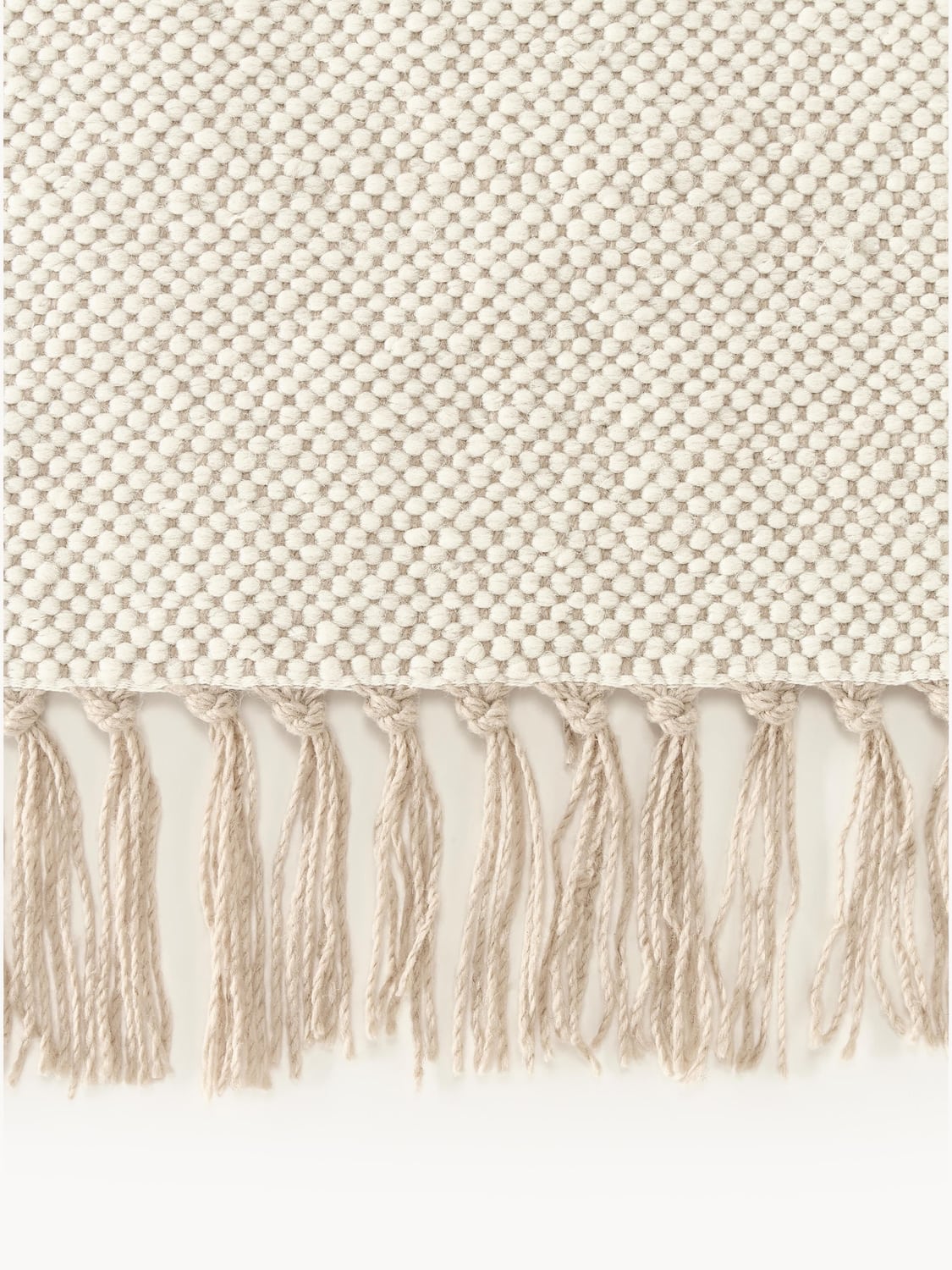 Tavordo Hand-Woven Indoor & Outdoor Rug