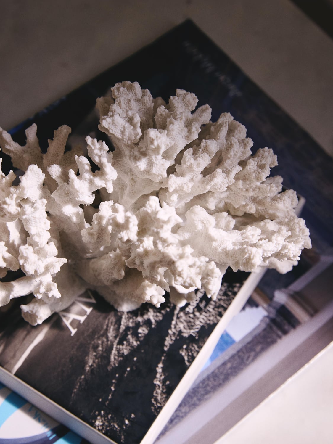Pigra Design Decorative Object