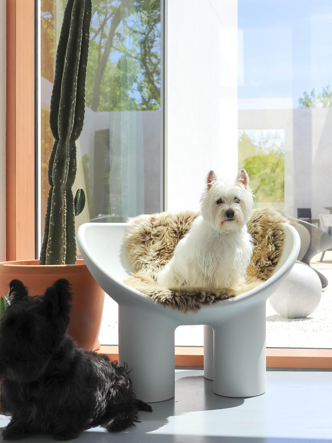 Dosso Lounge Chair Roly
