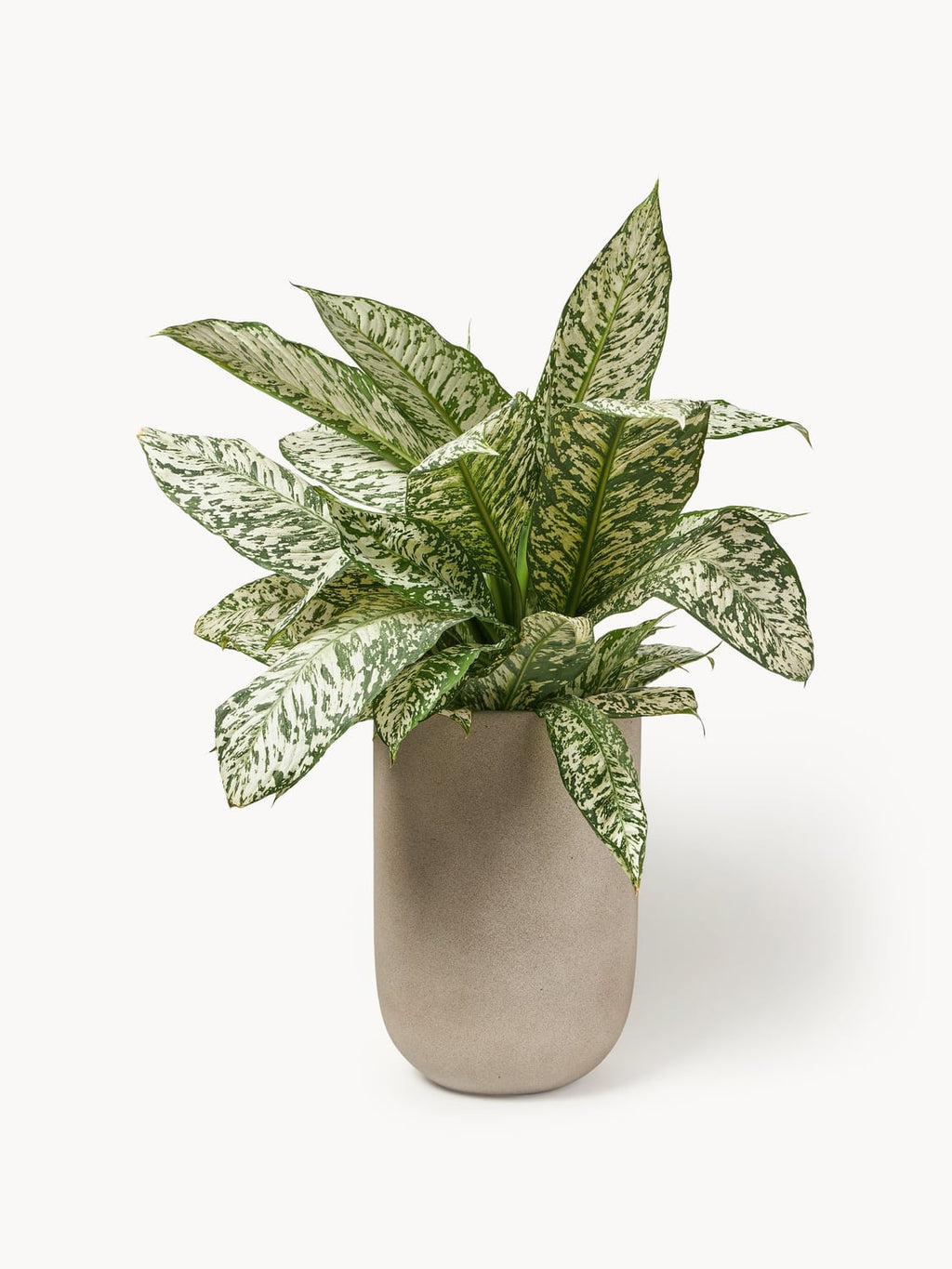 Trevano Outdoor Concrete Planter, H 40 cm