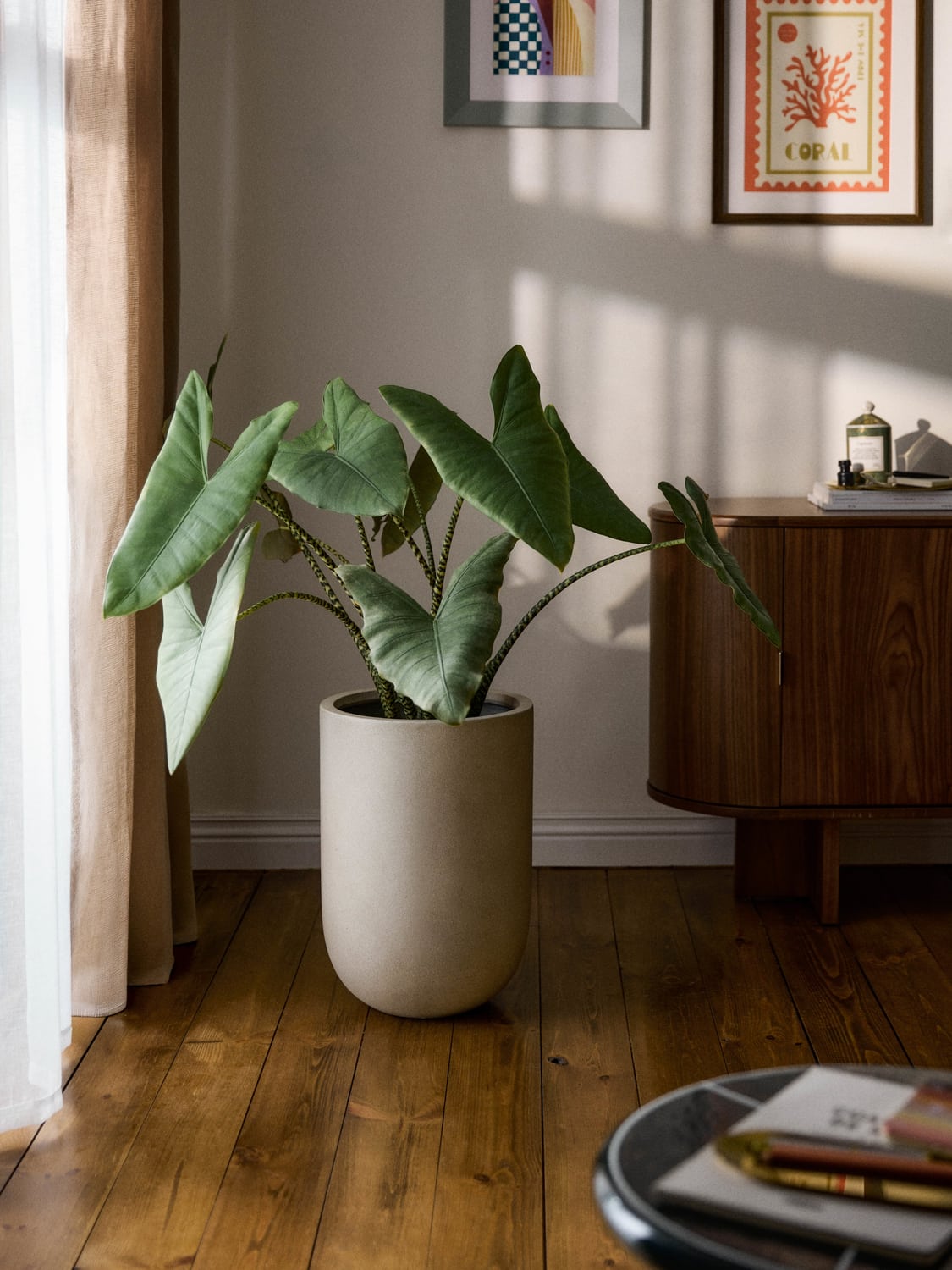 Trevano Outdoor Concrete Planter, H 49 cm