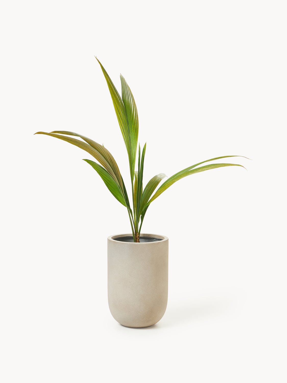 Trevano Outdoor Concrete Planter, H 49 cm