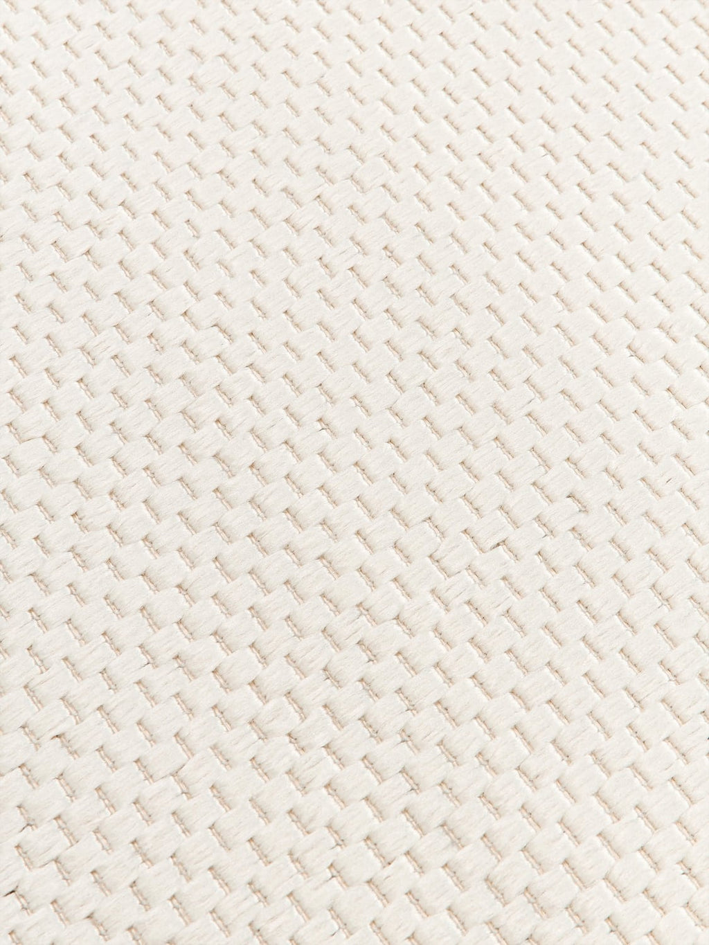 Pellio Indoor & Outdoor Reversible Rug